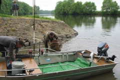 barche pesca in alluminio (157)
